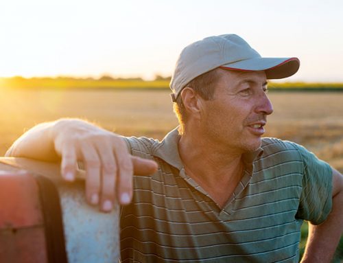 The Future of Dairy Farmers in Queensland